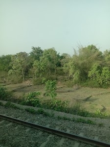 Telwa Bazar