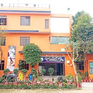 Brain Tree School