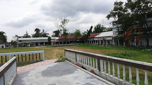 Janata College