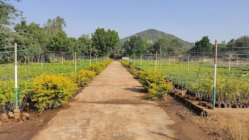 Mankdi Central Narsari, Danta east Range