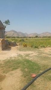 Mohan Lal Ji Farmhouse मोहन जी का बेरा