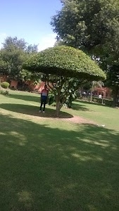 Sonapur Gpss
