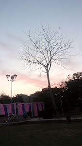 New Amritsar Colony