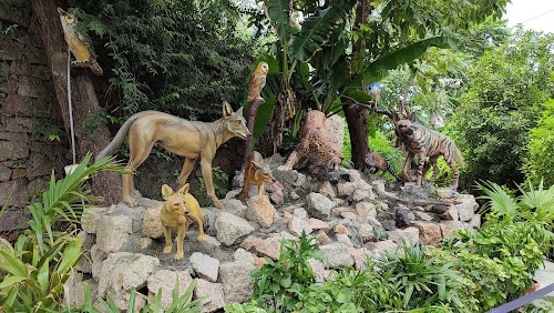 Nocturnal zoo