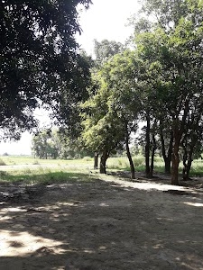 Mahua Dhani