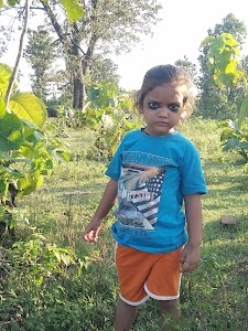 Gulariha