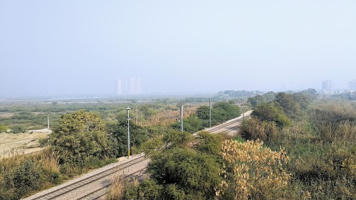 Basai Dhankot
