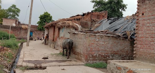सिंघुआमऊ प्राथमिक विद्यालय
