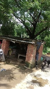 Viraj chauhan & Umakant chauhan house