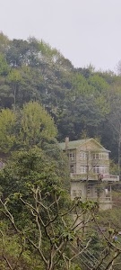 Rhododendron Dell Resorts
