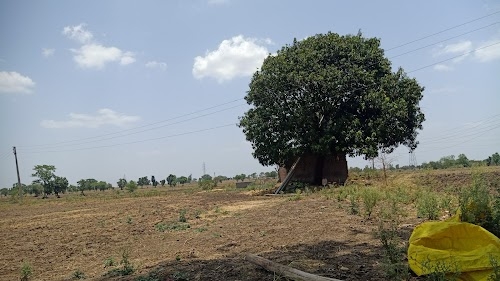 Bamuliya Khichi