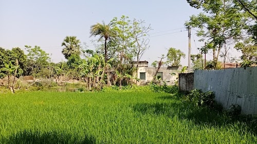 Baisi