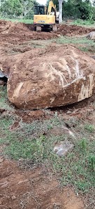 Kestur