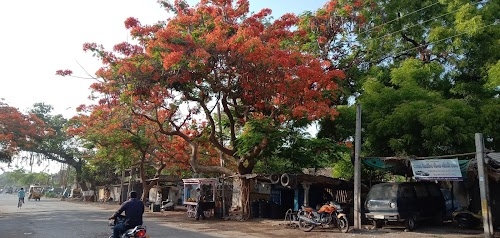 100, Mahuva Railway Station Road