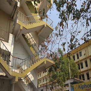 Alphores E Techno Jr College