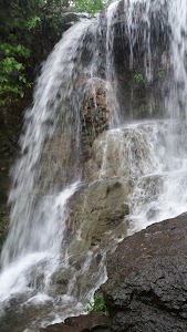 Patole