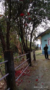 Melody Village Hut