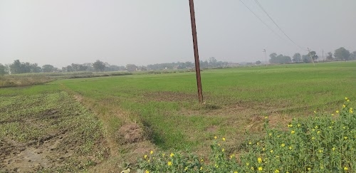 Deshi Deoria