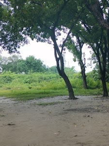 Koiritola (कोइरिटोला)