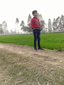 Tejpal Singh field