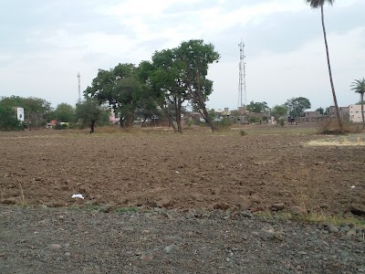 Paliya
