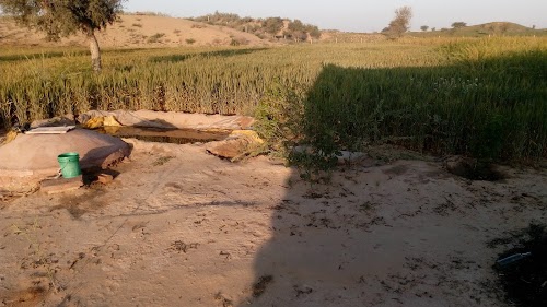 Thakur Ji Temple, Dewasar