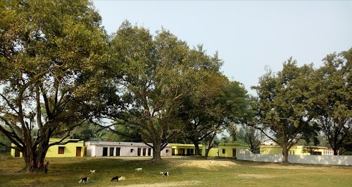 Primary School Gosalpur 1
