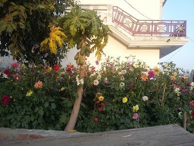 Nimanabad