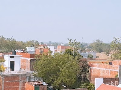 Danopur