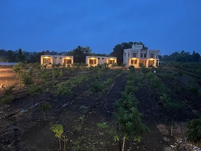 Wild Vibes At Gir