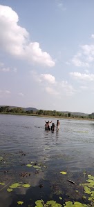 Biddiri Talab