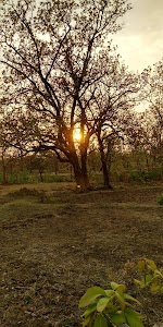 Timepass Point, Siarimalia