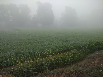 Mahamalpur