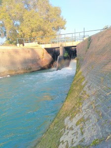 Mojgarh head