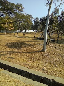 Hasari
