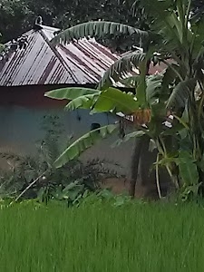 Pukur
