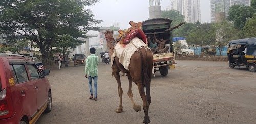 Balkum Naka