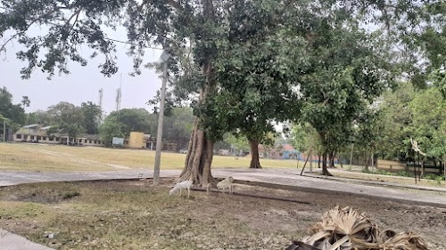 Bhagwanpur Block Field