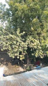 prathmik school daya chhapra purvi