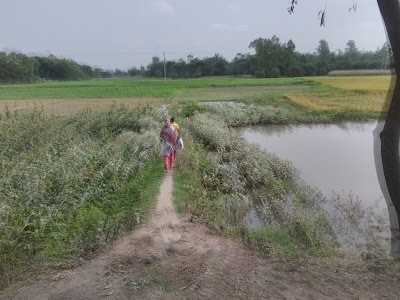 Ranisankail Upazila
