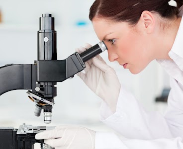 Haryana Lab