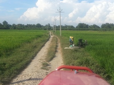 Kerwaniya