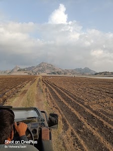 Jawai Big Cat Safari