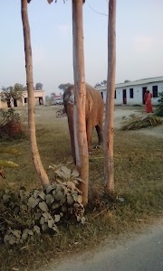 Hathiyagarh