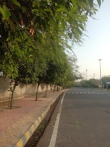 Sec 37