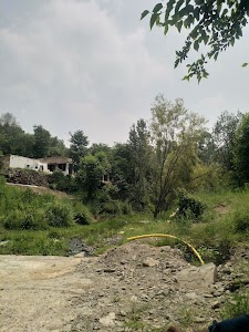 Shorag