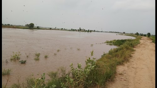 Chandu