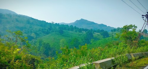 Kanjipani