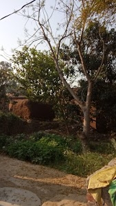 Sekhpur