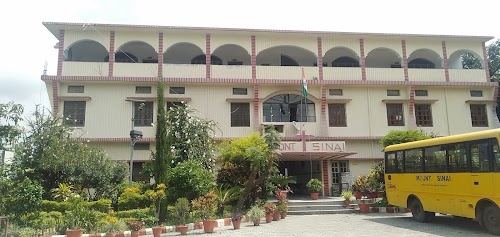 Mount Sinai School